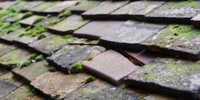 Beaumaris roof repair costs